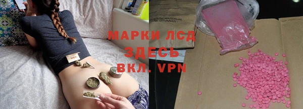 СК Алексин