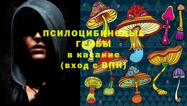 СК Алексин