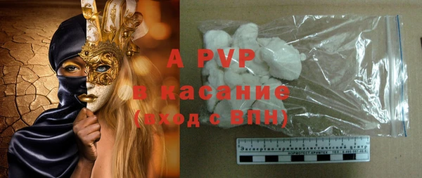 СК Алексин