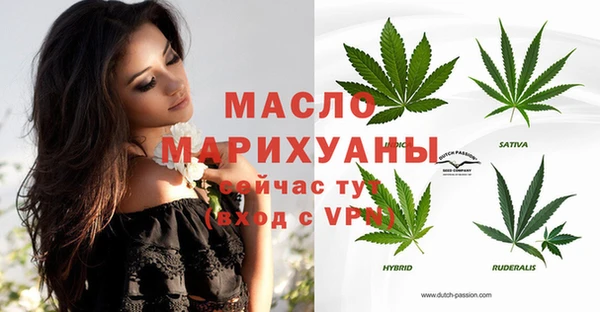 СК Алексин