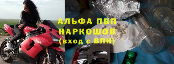 СК Алексин